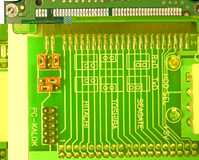 WD_25_SAFE_sm.JPG