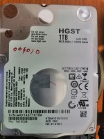 HGST.jpg