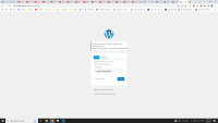 Screenshot (310).png