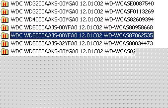 wd.jpg