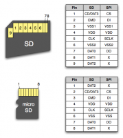 SD and microSD.png